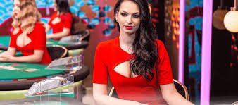 vv5577 pasang taruhan aman terpercaya odds kompetitif live betting Indonesia keamanan enkripsi
